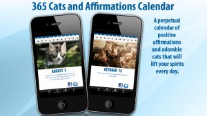 365 cants affirmation calendar app